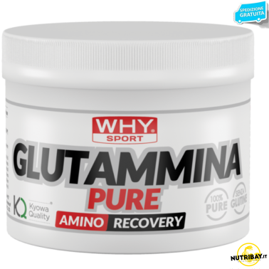 Why Sport 100% Glutammina Kyowa in Polvere 250 gr. Massima Qualita' GLUTAMMINA