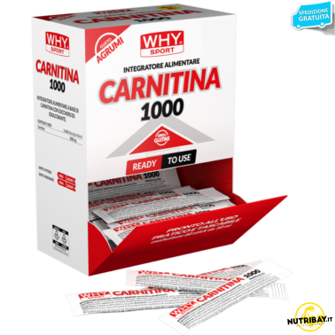 WHY SPORT CARNITINA 1000 1 stick da 1 gr CARNITINA