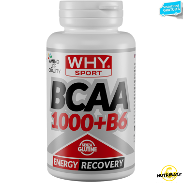 Why Bcaa 1000 100 cpr Aminoacidi In Compresse + Vitamina b6 AMINOACIDI BCAA