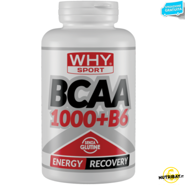 Why Bcaa 1000 300 cpr Aminoacidi In Compresse + Vitamina b6 AMINOACIDI BCAA