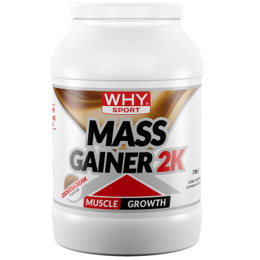 WHY SPORT MASS GAINER 2K 2 kg Gainer di Proteine Del Siero + Vitamine GAINERS AUMENTO MASSA
