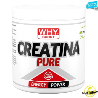 WHY SPORT CREATINA PURE - 300 gr CREATINA