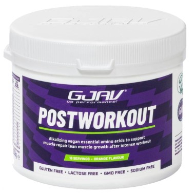 Gjav Postworkout - 261 gr POST WORKOUT COMPLETI