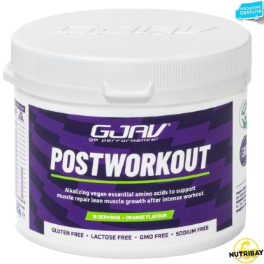 Gjav Postworkout - 261 gr POST WORKOUT COMPLETI