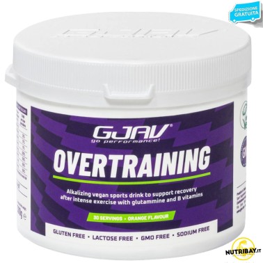 Gjav Overtraining - 300 gr POST WORKOUT COMPLETI