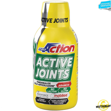 PROACTION Active Joints 500 ml BENESSERE ARTICOLAZIONI