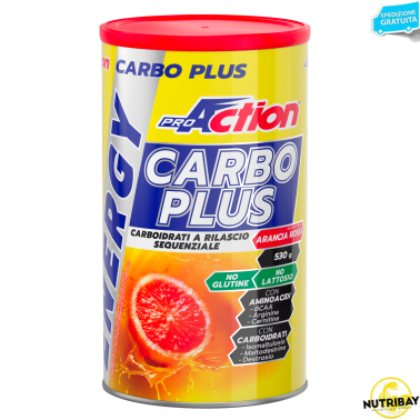 Proaction Carbo Plus Energy 530 gr Energetico con Bcaa Arginina e Maltodestrine CARBOIDRATI - ENERGETICI