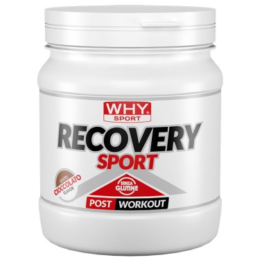 Why Sport Recovery Sport - 400 gr POST WORKOUT COMPLETI