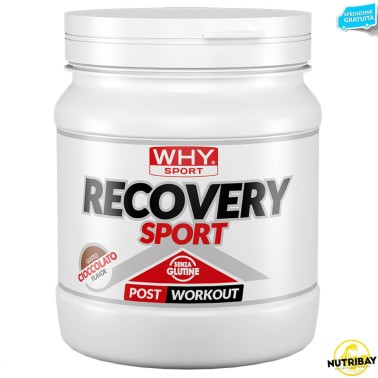 Why Sport Recovery Sport - 400 gr POST WORKOUT COMPLETI