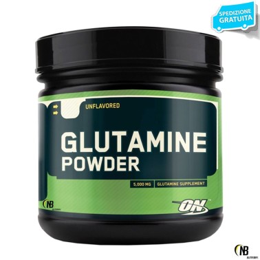 ON Optimum Nutrition Glutamine Powder 630 gr Glutammina in Polvere GLUTAMMINA