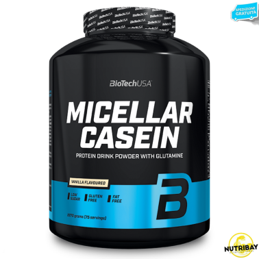 BIOTECH USA Micellar CASEIN 2270 gr PROTEINE