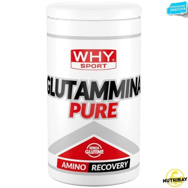 Why Sport Glutammina Pure - 500 gr GLUTAMMINA