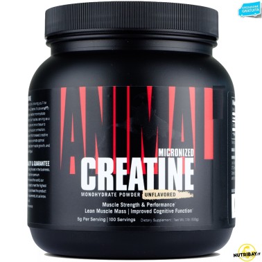 Universal Nutrition Animal Creatine Powder - 500 gr CREATINA