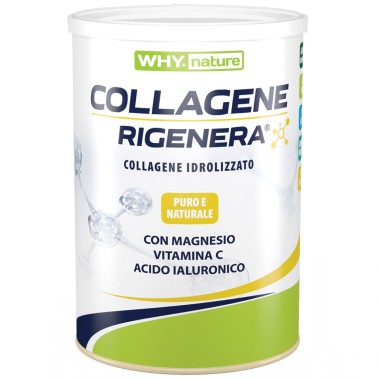 Why Nature Collagene Rigenera Gusto Vaniglia - 333 gr BENESSERE ARTICOLAZIONI