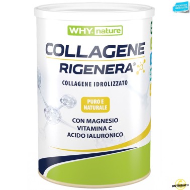 Why Nature Collagene Rigenera Gusto Vaniglia - 333 gr BENESSERE ARTICOLAZIONI