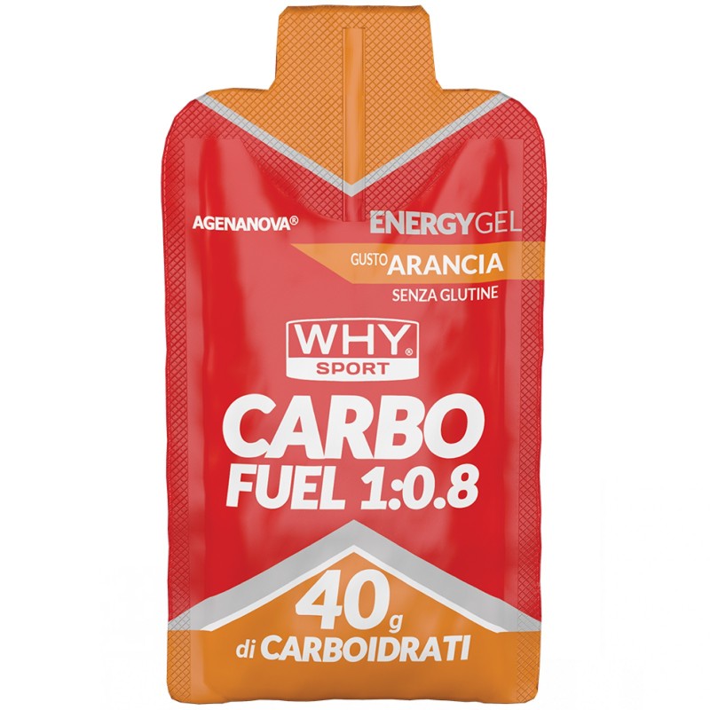 Why Sport Carbo Fuel 1:0.8 - 1 gel da 60 ml CARBOIDRATI - ENERGETICI