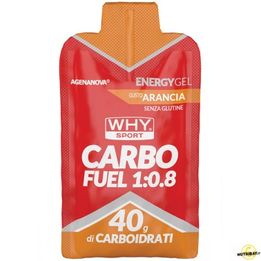 Why Sport Carbo Fuel 1:0.8 - 1 gel da 60 ml CARBOIDRATI - ENERGETICI