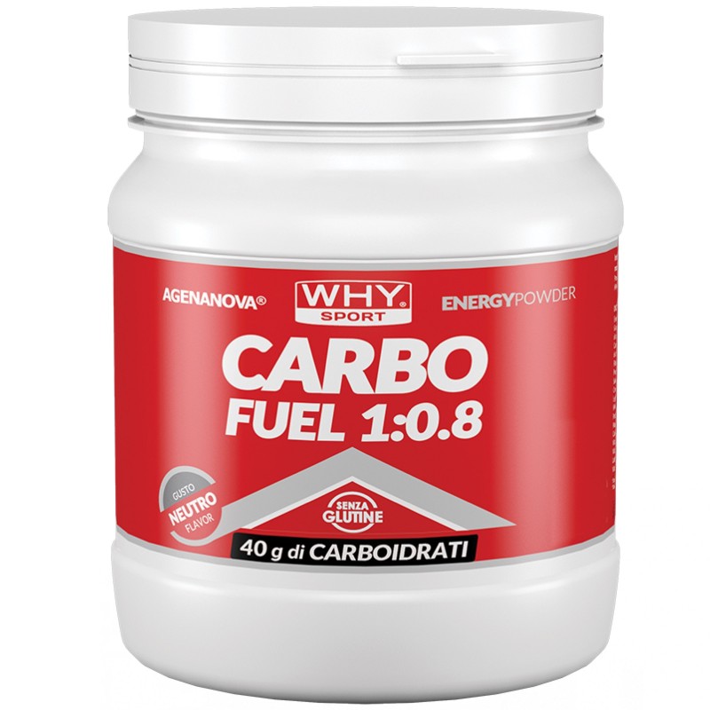 Why Sport Carbo Fuel 1:0.8 - 615 gr CARBOIDRATI - ENERGETICI