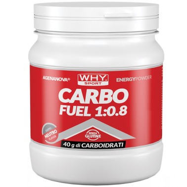 Why Sport Carbo Fuel 1:0.8 - 615 gr CARBOIDRATI - ENERGETICI