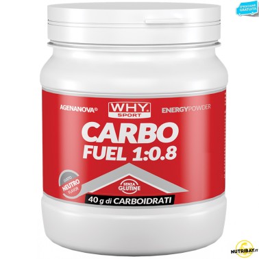 Why Sport Carbo Fuel 1:0.8 - 615 gr CARBOIDRATI - ENERGETICI