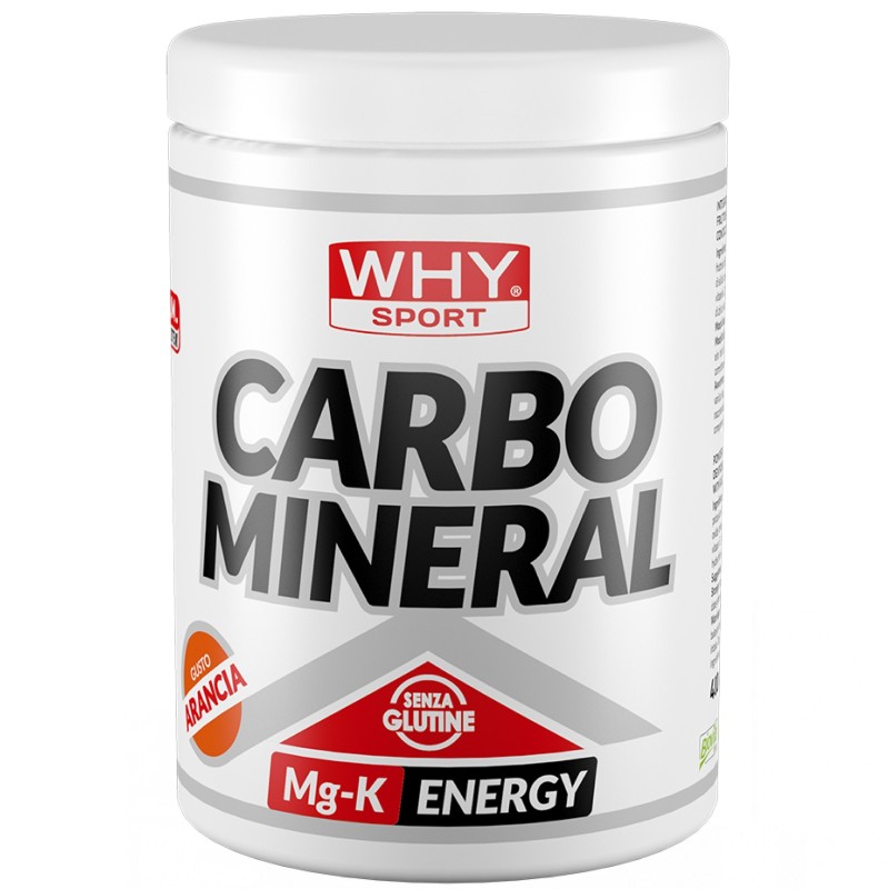 Why Sport Carbo Mineral - 400 gr CARBOIDRATI - ENERGETICI