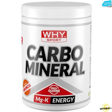 Why Sport Carbo Mineral - 400 gr CARBOIDRATI - ENERGETICI