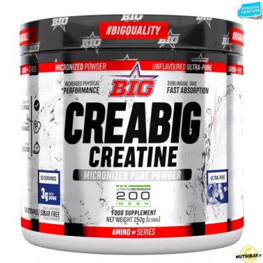 Big Creabig Creatine Micronized 200 Mesh - 250 gr CREATINA