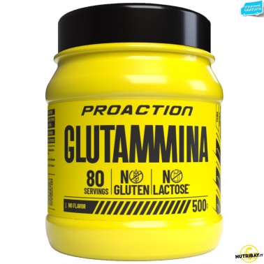Proaction Fitness Glutammina - 500 gr GLUTAMMINA