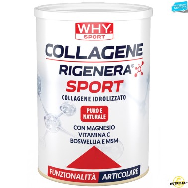 Why Sport Collagene Rigenera Sport - 336 gr BENESSERE ARTICOLAZIONI