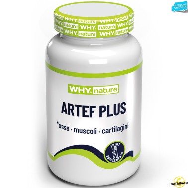 Why Nature Artef Plus - 60 cpr BENESSERE ARTICOLAZIONI