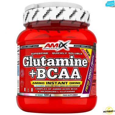 AMIX Glutamine + BCAA Polvere 530 grammi GLUTAMMINA