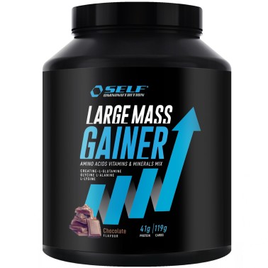Self Omninutrition Large Mass Gainer - 2 Kg GAINERS AUMENTO MASSA