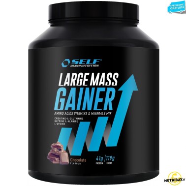 Self Omninutrition Large Mass Gainer - 2 Kg GAINERS AUMENTO MASSA