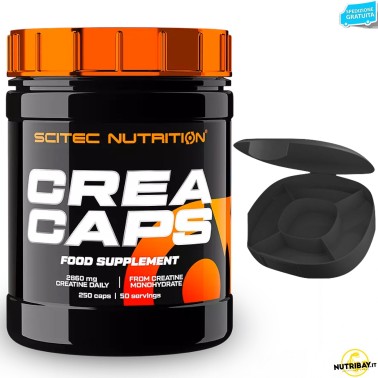 SCITEC Creatine Caps 250 Capsule di Pura Creatina Monoidrato + PORTAPILLOLE CREATINA