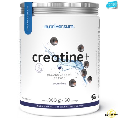 Nutriversum Flow Creatine+ - 300 gr CREATINA