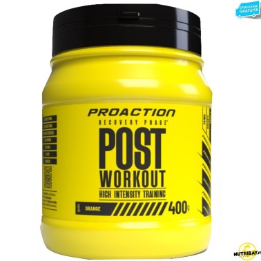 Proaction Fitness Post Workout - 400 gr POST WORKOUT COMPLETI