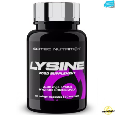 Scitec Nutrition Lysine 90 cps. Integratore di Aminoacido Lisina AMINOACIDI BCAA