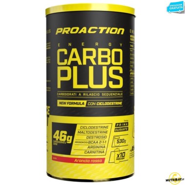 Proaction Carbo Plus Pro - 530 gr CARBOIDRATI - ENERGETICI
