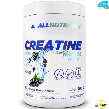 All Nutrition Creatine Muscle Max - 500 gr CREATINA