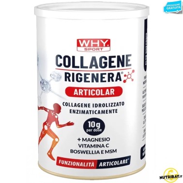 Why Sport Collagene Rigenera Articolar - 336 gr