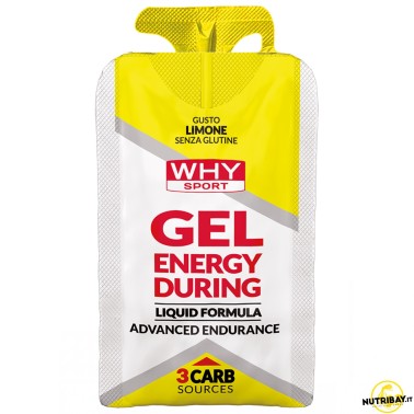 Why Sport Gel Energy During - 1 gel da 30 ml CARBOIDRATI - ENERGETICI