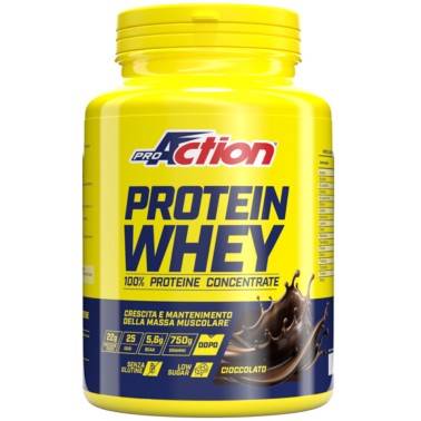 Proaction Protein Whey - 750 gr PROTEINE