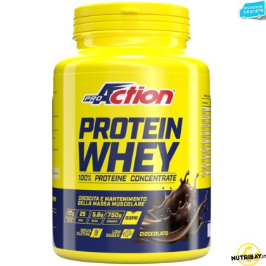 Proaction Protein Whey - 750 gr PROTEINE