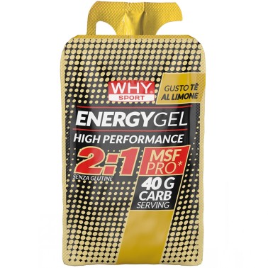 Why Sport Energy Gel 2:1 - 1 gel da 55 ml CARBOIDRATI - ENERGETICI