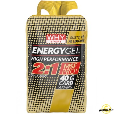 Why Sport Energy Gel 2:1 - 1 gel da 55 ml CARBOIDRATI - ENERGETICI