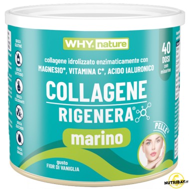 Why Nature Collagene Rigenera Marino - 228 gr BENESSERE ARTICOLAZIONI