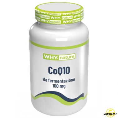Why Nature CoQ10 - 90 caps CURA DEL CORPO