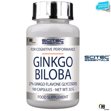 Ginco Potente Antiossidante con Polifenoli CURA DEL CORPO
