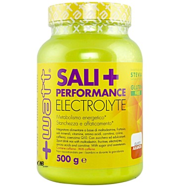 +WATT Sali+ Performance Sali Minerali Magnesio Potassio con Vitamine e Caffeina in vendita su Nutribay.it
