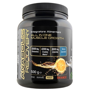 Net Anabolic Recovery 500 gr. Post Allenamento Completo con 13 Ingredienti POST WORKOUT COMPLETI